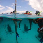 Cozumel: Clear Boat & Snorkel Tour - The Itinerary in Detail