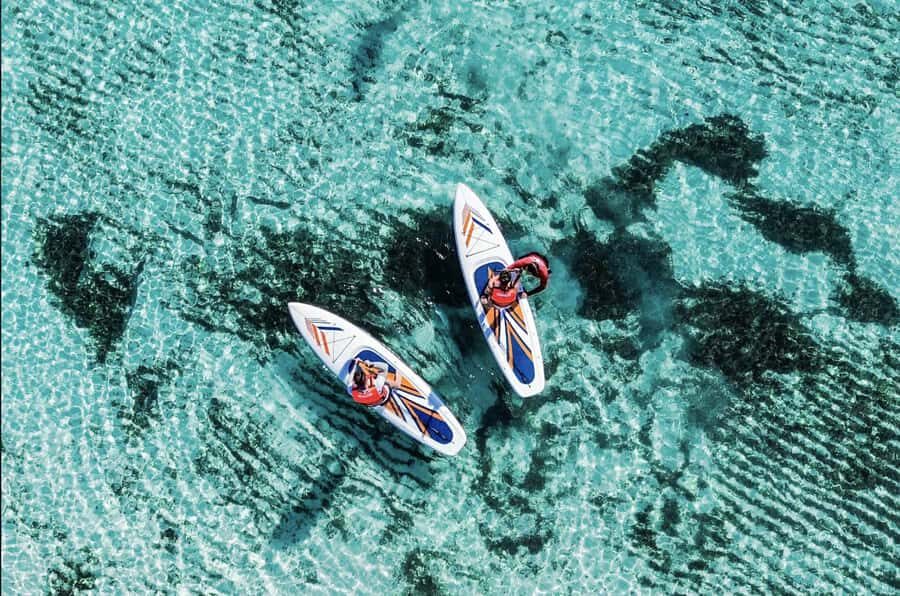 Cozumel: Coastal Thrill Day with Kayak, Paddle & Snorkel - Who Will Love This Tour?