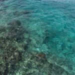 Cozumel: Day at El Cielo Bay - The Itinerary: What You Can Expect