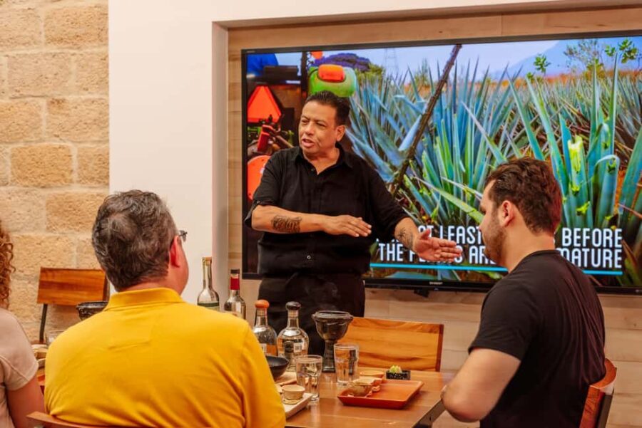 Cozumel: Degustación Maya Mezcal and Tequila - The Setting: Why Ix Kool Matters