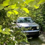 Cozumel: Discover Hidden Gems w/ Private guide - Comfort and Transportation