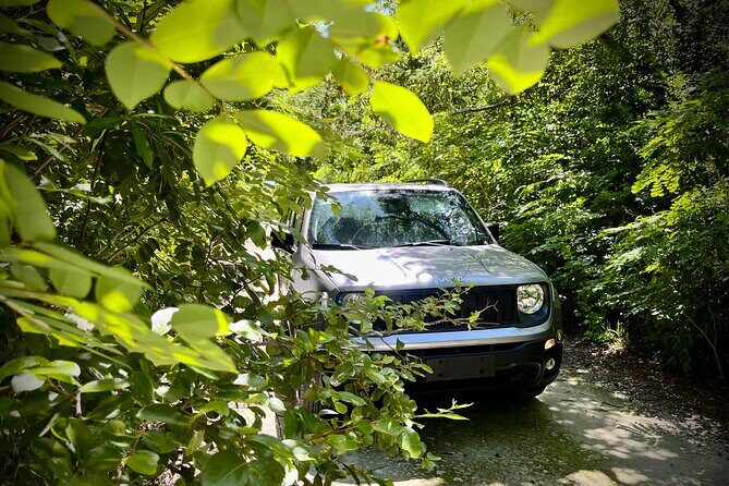 Cozumel: Discover Hidden Gems w/ Private guide - Comfort and Transportation