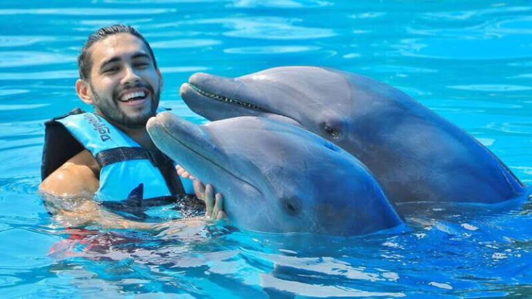 Cozumel: Dolphin Royal Swim and Manatee Interaction - Who Will Enjoy This Tour Most?