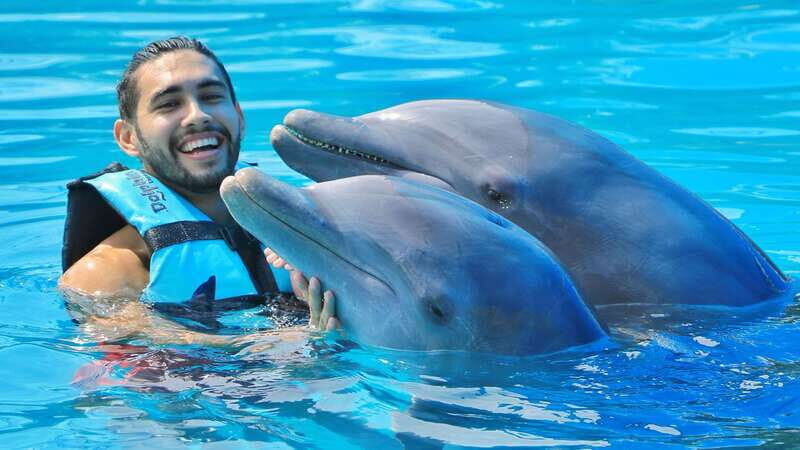 Cozumel: Dolphin Royal Swim and Manatee Interaction - Who Will Enjoy This Tour Most?