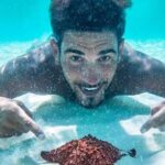 Cozumel El Cielo All Inclusive Tour from Cancun - Who should consider this tour?