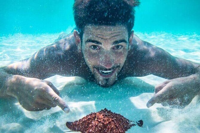 Cozumel El Cielo All Inclusive Tour from Cancun - Who should consider this tour?