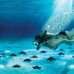 Cozumel: El Cielo & Palancar Snorkel with Open Bar & Ceviche - What to Expect from the Itinerary