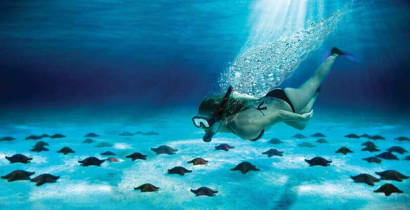 Cozumel: El Cielo & Palancar Snorkel with Open Bar & Ceviche - What to Expect from the Itinerary