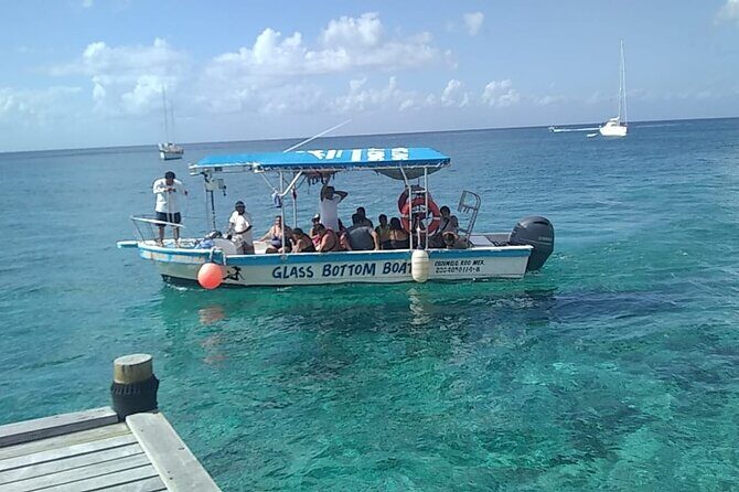 Cozumel El Cielo Tour by Boat from Playa del Carmen & Transfer - Insights from Reviews
