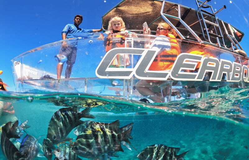 Cozumel: Excursion Crystal Boat Tour with Snorkel & Drinks - Who Should Consider This Tour?