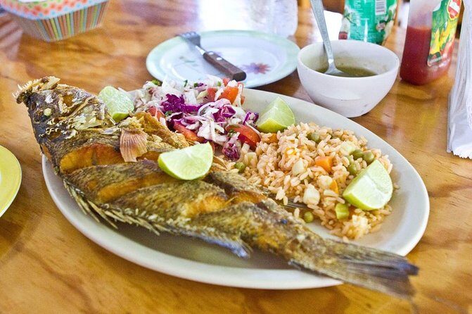 Cozumel Food Tour - What to Expect: The Day in Detail