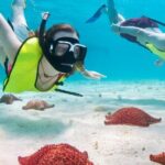 Cozumel Island Tour with your chosen vehicle - The Itinerary in Detail: What Makes Each Stop Special