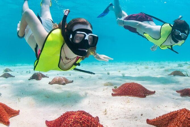 Cozumel Island Tour with your chosen vehicle - The Itinerary in Detail: What Makes Each Stop Special