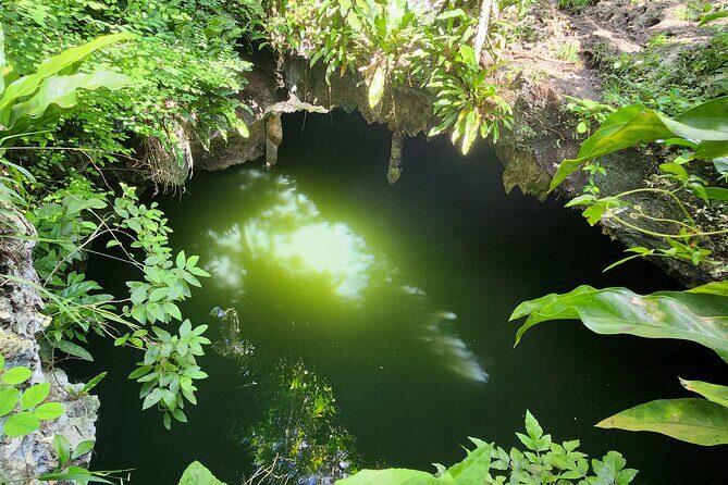 Cozumel Jeep Escape: Punta Sur Park, Jade Cavern & Snorkel - What’s Included and What to Budget For