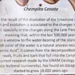 Cozumel Jungle ATV Tour Adventure and Caverns with transfer - The Experience: What It’s Really Like