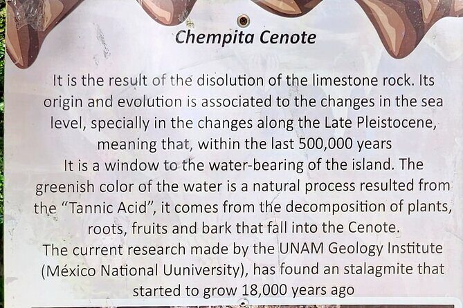 Cozumel Jungle ATV Tour Adventure and Caverns with transfer - The Experience: What It’s Really Like