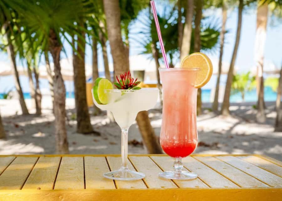 Cozumel: Mexican Mixology Workshop by the Sea - Who Will Love This Tour?