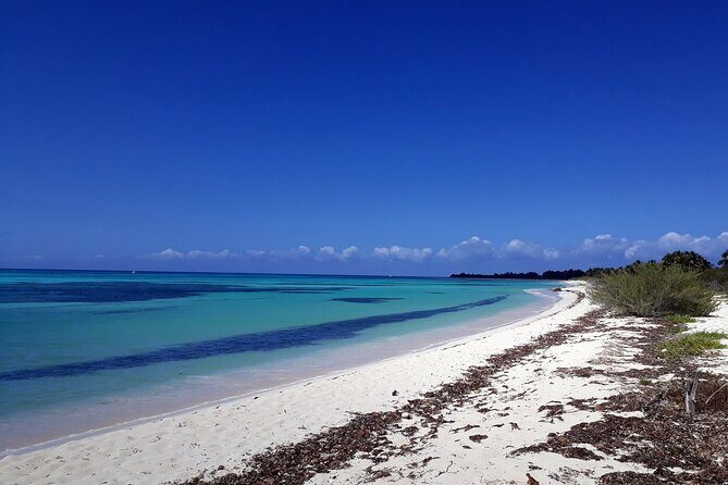 Cozumel National Park and Beach Break: Private Tour - The Sum Up