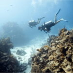 Cozumel: Ocean Dive - Who Will Enjoy This Tour Most?