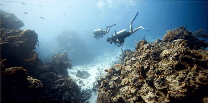 Cozumel: Ocean Dive - Who Will Enjoy This Tour Most?