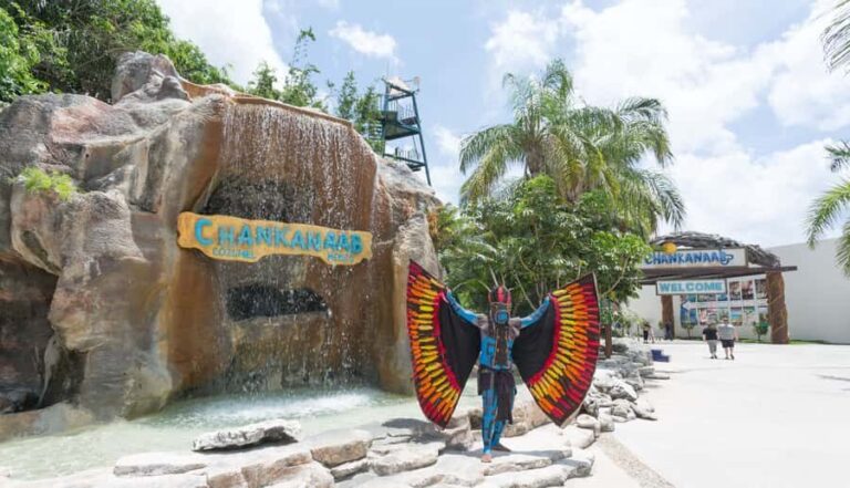 Cozumel: Official Chankanaab Park and Snorkeling with Lunch - What the Reviews Tell Us
