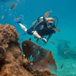 Cozumel: One Tank Scuba Dive and Full Chankanaab Park Access - How Does It Value for Money?