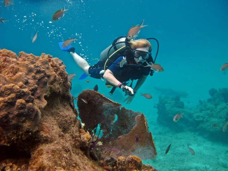 Cozumel: One Tank Scuba Dive and Full Chankanaab Park Access - How Does It Value for Money?