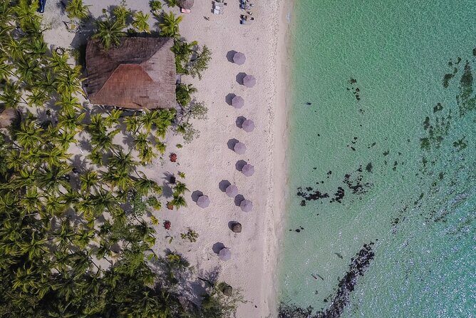 Cozumel Playa Palancar VIP All Inclusive Day Pass - What to Expect at Playa Palancar VIP