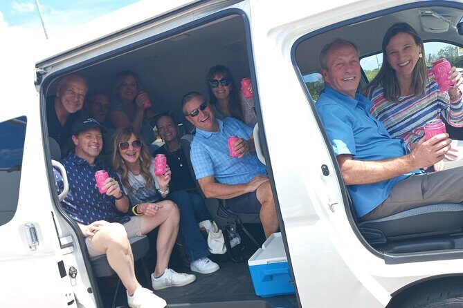 Cozumel Private Airport Transfer - Why This Transfer Works for You