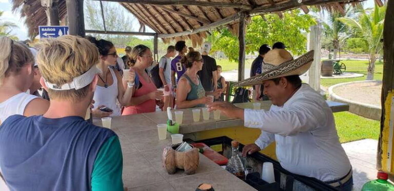 Cozumel: Private Buggy Tour with Lunch & Snorkeling - Detailed Breakdown of the Itinerary