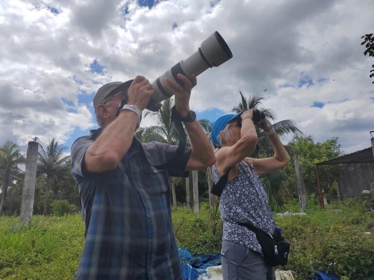 Cozumel: Private Car, Driver & Certified Tour Guide - Transportation and Pricing — What’s the Value?