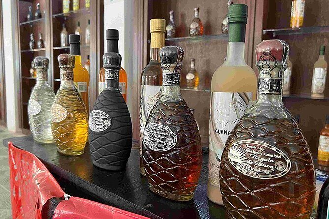 Cozumel Private Island Tour - Who Should Consider This Tour?