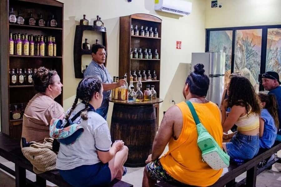 Cozumel: Private Jeep & ATV Tour to Jade Cavern w Snorkeling - Authentic Experiences and Genuine Insights