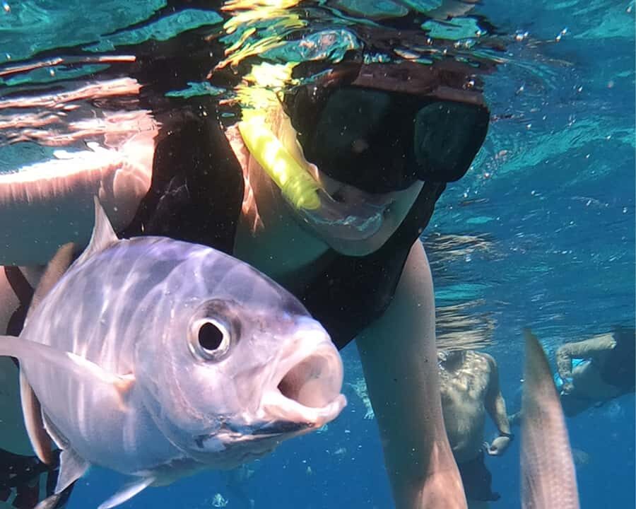 Cozumel: Private Snorkel Experience at Skyreef Beach Club - How This Tour Balances Value and Authenticity