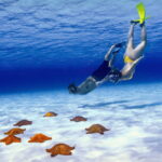 Cozumel: Private Snorkel Tour El Cielo + 3 Reefs Food Drinks - Who Will Get the Most From This Tour?