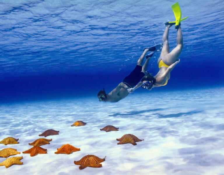 Cozumel: Private Snorkel Tour El Cielo + 3 Reefs Food Drinks - Who Will Get the Most From This Tour?