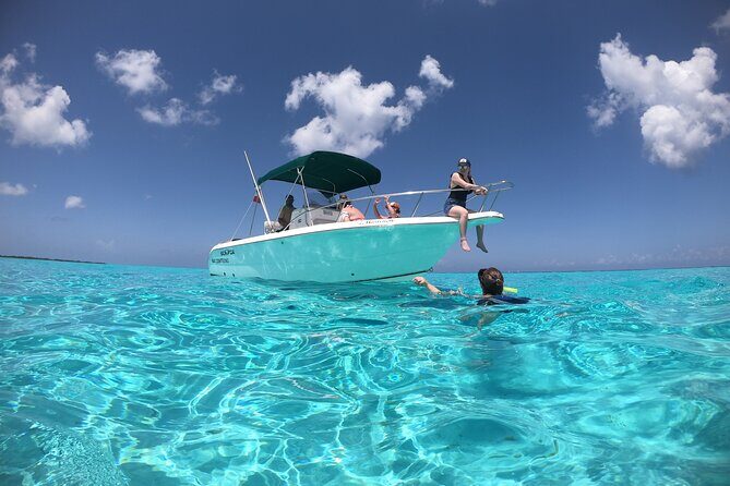 Cozumel Private Snorkeling and Charter Experience - The Value of a Private Snorkel Experience