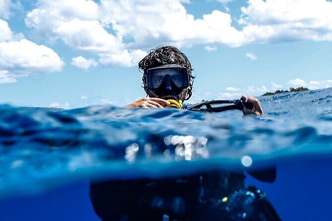 Cozumel Reef Suba Diving Adventure for Certified Divers - An In-Depth Look at the Cozumel Reef Suba Diving Adventure