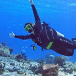 Cozumel Scuba Diving: 2 Tanks in the National Park for certified divers - Practical Details and Logistics