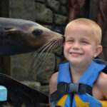Cozumel: Sea Lion Program at Chankanaab Beach Adventure Park - What You Can Expect from the Tour