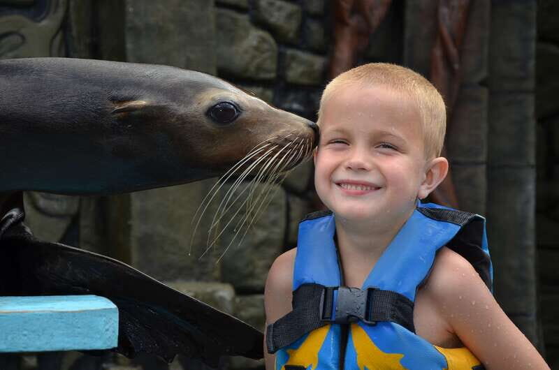 Cozumel: Sea Lion Program at Chankanaab Beach Adventure Park - What You Can Expect from the Tour