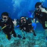 Cozumel: Shipwreck and Reef Dive with Lunch - Pricing and Value