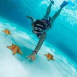 Cozumel Snorkel at El Cielo & 2 Reefs! Transportation from Tulum - What Do Travelers Say?