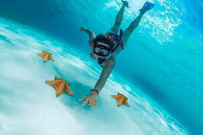 Cozumel Snorkel at El Cielo & 2 Reefs! Transportation from Tulum - What Do Travelers Say?