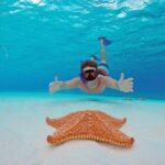 Cozumel: Snorkel at El Cielo, Colombia Reef & Palancar Reef - Who Would Enjoy This Tour?