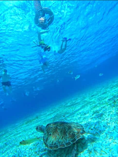 Cozumel: snorkeling on reefs + visit to "El Cielo" - The Reef Stops: Columbia and Palancar