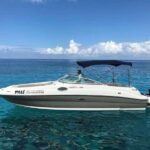 Cozumel: Snorkeling Tour at El Cielo Beach - Who Is This Tour Best For?