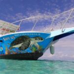 Cozumel Snorkeling Tour at Palancar & Colombia Reefs and El Cielo - Authentic Experiences and Highlights