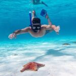 Cozumel Starfish and Tropical Reef Snorkeling by Powerboat with Lunch - Final Thoughts: Is This Tour Worth It?
