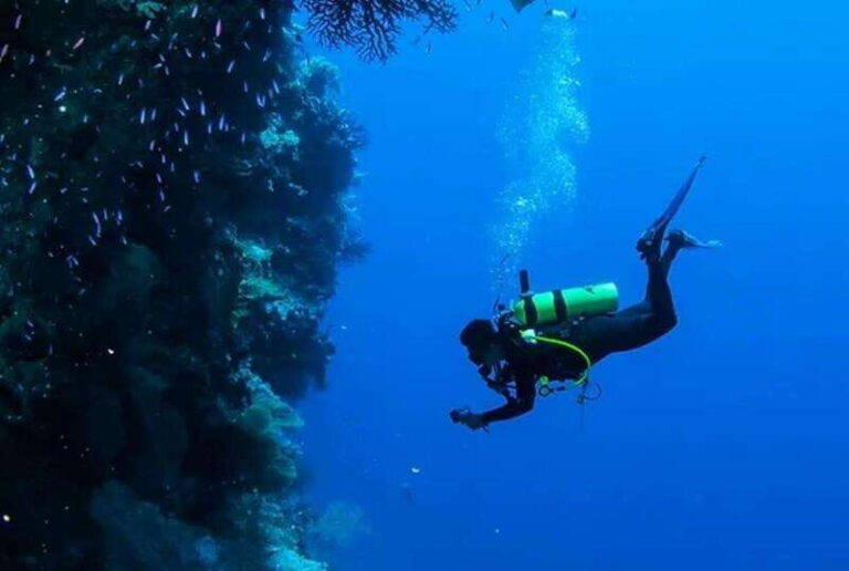 Cozumel: Twilight and Night Dive for Certified Divers - Why This Tour Offers Real Value